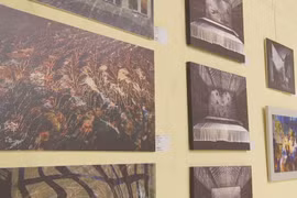 Hungarian contemporary paintings displayed in Can Tho 