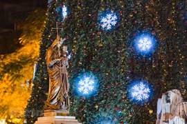 Giant Christmas trees in capital city