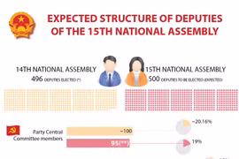 Expected structure of deputies of 15th National Assembly