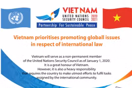 Vietnam prioritises global issues in respect of international law