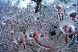 Northern mountain covered with ice as temperature drops to -9°C