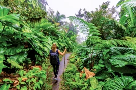 Digital transformation creates breakthrough for tourism industry