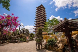 Binh Dinh province boasts magnificent pagoda