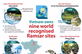 Nine world recognised Ramsar sites in Vietnam