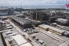 Ba Ria-Vung Tau industrial park attracts investors