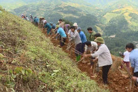 Civil servants spend weekends assisting local residents