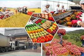 Vietnam's agro-aquatic-forestry exports reach nearly 10 billion USD