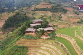 Mu Cang Chai tourism hit hard by pandemic