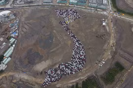 Car mosaic in Hai Phong breaks world record