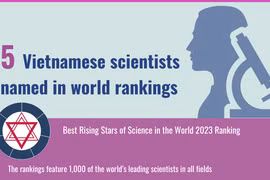 Five Vietnamese scientists named in world rankings