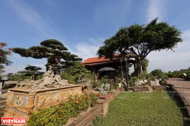 Hong Van bonsai village on Hanoi’s outskirts
