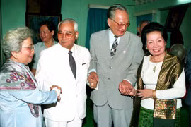 Review of external activities by former President Le Duc Anh