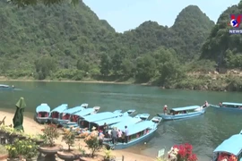 Phong Nha Cave night tours offer visitors a new experience