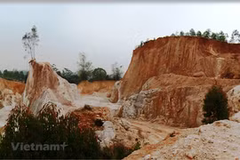 Management of mineral resources requires more efforts