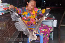 Caged life kills species in Vietnam’s Red Data Book