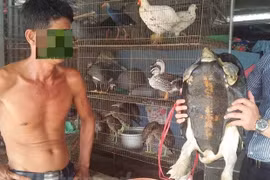 “Hell market” kills endangered animals