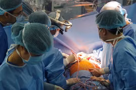 Doctors successfully perform transplant for six patients from brain-dead donor