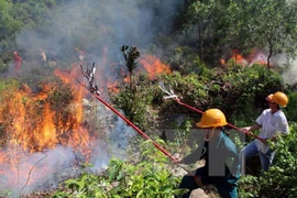 More than 8 mln USD given to fund forest fire control