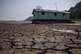 Vietnam promises 8 percent in emission cuts by 2030