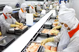 Export resilience to boost economy