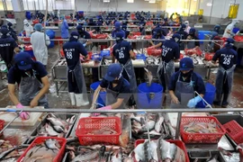 Vietnam takes advantage of staples when joining TPP 