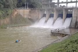 Hanoi works to ensure enough water for agricultural production
