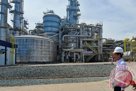 Indonesia opens Southeast Asia’s biggest fertiliser factory