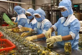 Vietnam’s GDP likely to gain most from TPP, AEC