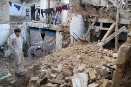 Vietnam keeps an eye on Vietnamese in quake-hit countries