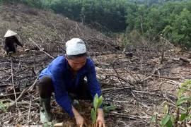 Ethnic minorities join hands to address climate change