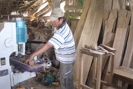 Thanh Hoa to develop rural industry 
