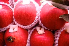 Japanese apples re-enter Vietnamese market 