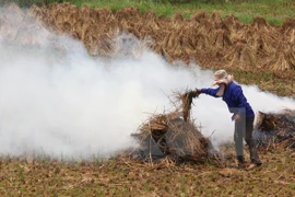 State-owned farm to export straw to Japan