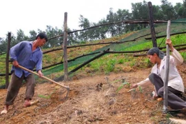 Measures to reduce land erosion in Dak Lak province 