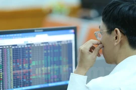 Vietnamese shares decline for second day 