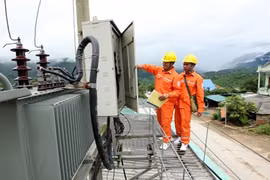 Electricity of Vietnam sells stakes in companies 