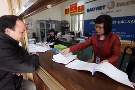 Insurance sector enjoys solid growth this year 