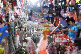 Made-in-Vietnam products dominate seasonal market in Can Tho