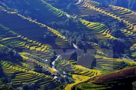 Photo contest promotes Vietnam’s tourism