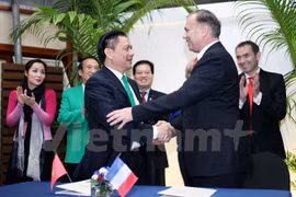 Vietnam to import 20,000 electric taxis