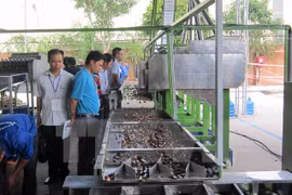 International cashew processing exhibition opens in Long An
