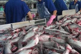 US Senators move to nullify new catfish inspection rules 