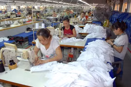 Labour rights violations inspected in apparel industry