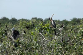 Cambodia has 4th Ramsar site