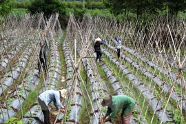 Few technologies applied in agriculture