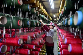 FTA hoped to push Vietnam’s export to demanding EU market