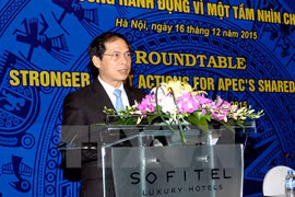 Vietnam ready for APEC Year 2017 