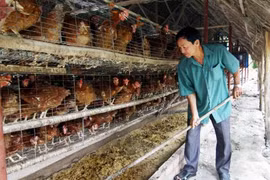Breeding industry needs to rely more on technologies