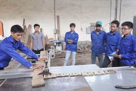Vocational training sector to restructure school network