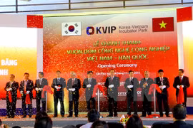Vietnam-RoK industrial technology incubator inaugurated